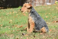 processed/5563db8b-5e84-4d89-a52d-a5e74384eda3/listing/058667d6-18df-42a3-9a02-fc26ae1e661e/54ac4f7f-6124-404d-b4d8-098d83762754