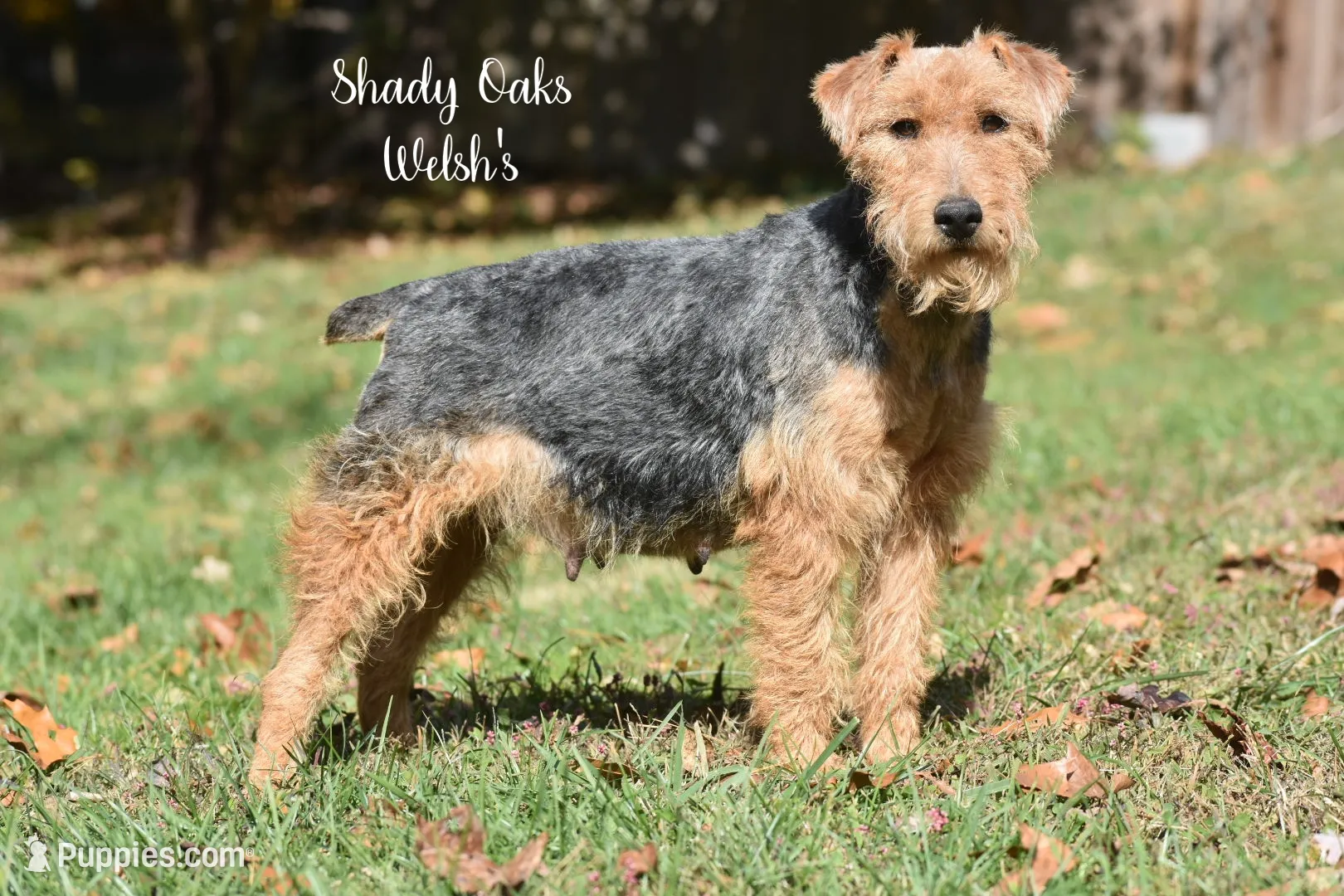 processed/5563db8b-5e84-4d89-a52d-a5e74384eda3/listing/058667d6-18df-42a3-9a02-fc26ae1e661e/70e2b981-0e8a-4296-8ba3-3789b1365832