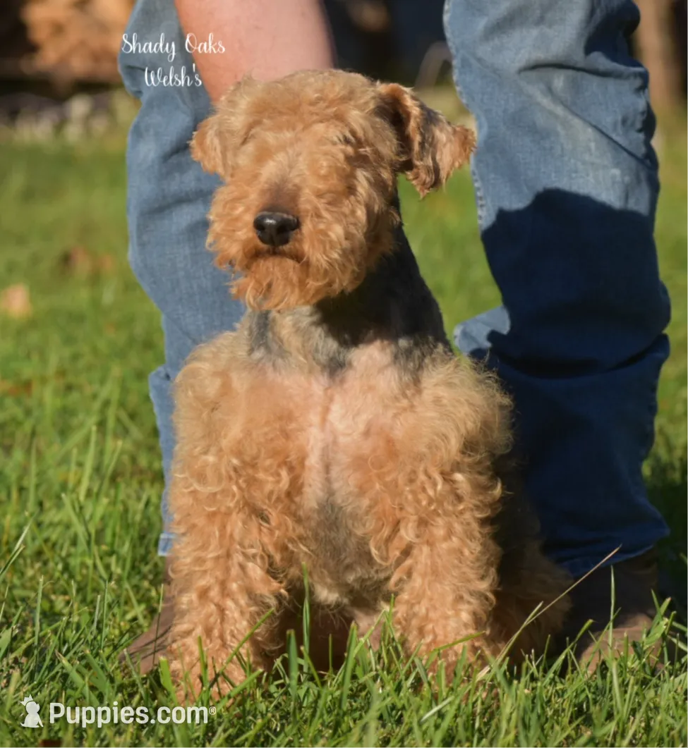 processed/5563db8b-5e84-4d89-a52d-a5e74384eda3/listing/058667d6-18df-42a3-9a02-fc26ae1e661e/a54bd973-a8fa-4aba-ad90-7dcac295af68