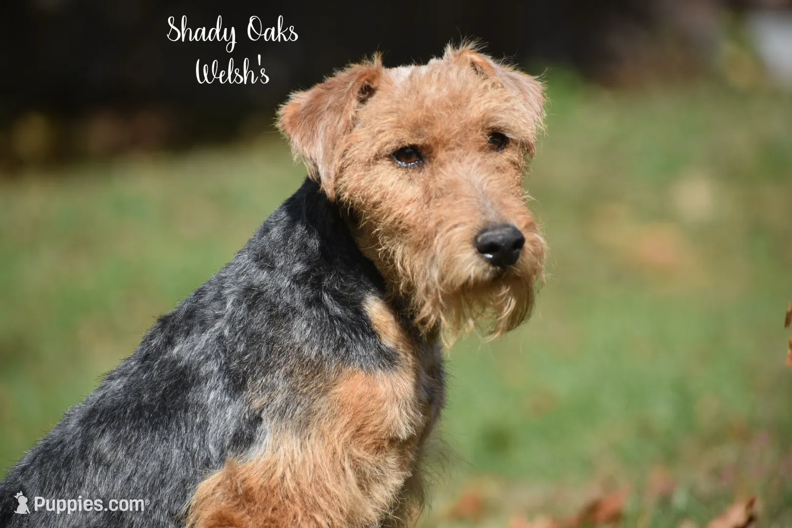 processed/5563db8b-5e84-4d89-a52d-a5e74384eda3/listing/058667d6-18df-42a3-9a02-fc26ae1e661e/da8ef7d8-7afd-4645-b5fc-5eb1e4032ced