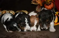 processed/5563db8b-5e84-4d89-a52d-a5e74384eda3/listing/292c4d77-0557-48a8-848f-f6fe430b999b/0a685fda-f4c1-4f0e-a248-eba08301a66b