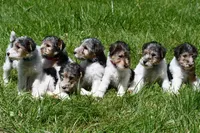 processed/5563db8b-5e84-4d89-a52d-a5e74384eda3/listing/292c4d77-0557-48a8-848f-f6fe430b999b/5f40c843-afa5-42aa-a3be-6c7e8440f82c