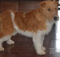 processed/5563db8b-5e84-4d89-a52d-a5e74384eda3/listing/292c4d77-0557-48a8-848f-f6fe430b999b/659c9036-0428-48c6-a9d7-6c3ebcfd5c60