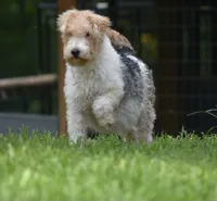 processed/5563db8b-5e84-4d89-a52d-a5e74384eda3/listing/292c4d77-0557-48a8-848f-f6fe430b999b/8079d7b9-db72-466a-9cb1-db8d014893b3