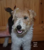 processed/5563db8b-5e84-4d89-a52d-a5e74384eda3/listing/292c4d77-0557-48a8-848f-f6fe430b999b/8f9c7299-ef77-40fd-852f-e42f110680ae