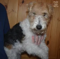 processed/5563db8b-5e84-4d89-a52d-a5e74384eda3/listing/292c4d77-0557-48a8-848f-f6fe430b999b/a8102044-d9cb-4174-a8c9-95f44a4e6664