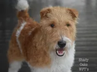 processed/5563db8b-5e84-4d89-a52d-a5e74384eda3/listing/292c4d77-0557-48a8-848f-f6fe430b999b/b0f25a62-41b3-41a9-ba32-96fbc3016fd4