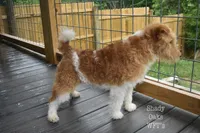 processed/5563db8b-5e84-4d89-a52d-a5e74384eda3/listing/292c4d77-0557-48a8-848f-f6fe430b999b/c2104840-15f9-49d0-9f6f-08b8efc355a6