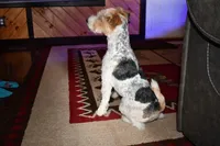 processed/5563db8b-5e84-4d89-a52d-a5e74384eda3/listing/ee8e3a97-f54f-4aa0-8ea3-3cbbda272fca/258cd3e4-88c5-4d7e-9db0-5fff9ce0f325