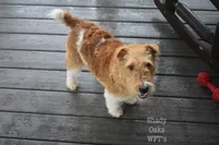 processed/5563db8b-5e84-4d89-a52d-a5e74384eda3/listing/ee8e3a97-f54f-4aa0-8ea3-3cbbda272fca/4ed505cb-5efa-41a5-90e3-091acfec4716