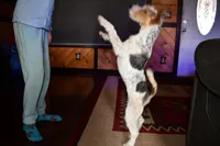 processed/5563db8b-5e84-4d89-a52d-a5e74384eda3/listing/ee8e3a97-f54f-4aa0-8ea3-3cbbda272fca/53b80fe4-cbca-409f-bd60-806568fe4239