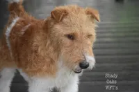 processed/5563db8b-5e84-4d89-a52d-a5e74384eda3/listing/ee8e3a97-f54f-4aa0-8ea3-3cbbda272fca/701e46cd-dea5-4ac7-a5ba-acdc1c0e0351