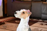 processed/5563db8b-5e84-4d89-a52d-a5e74384eda3/listing/ee8e3a97-f54f-4aa0-8ea3-3cbbda272fca/9e61cac9-74c1-4ce4-ac18-2dd7bafdc566