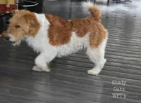 processed/5563db8b-5e84-4d89-a52d-a5e74384eda3/listing/ee8e3a97-f54f-4aa0-8ea3-3cbbda272fca/adbabff9-12b9-4edb-a0dd-c0e970a95780