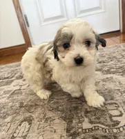 processed/556b636b-2bca-4f28-980e-a9715f21c14d/listing/0cb84123-c6d0-404b-91a7-54b07feb9385/6ee6039b-1b75-45ed-9a68-9bfd6c1a2886