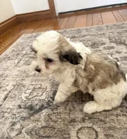 processed/556b636b-2bca-4f28-980e-a9715f21c14d/listing/0cb84123-c6d0-404b-91a7-54b07feb9385/c4ad9d5e-105f-4daa-a575-5d68ca803883