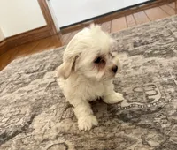 processed/556b636b-2bca-4f28-980e-a9715f21c14d/listing/20702b19-4f36-4d9f-986e-5b3543e940e0/7df3fe58-b8b7-4c86-805e-f73bdcb3cb76