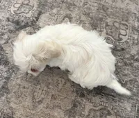 processed/556b636b-2bca-4f28-980e-a9715f21c14d/listing/20702b19-4f36-4d9f-986e-5b3543e940e0/cd75b3af-9a48-48b6-acf7-13f47cf97c40