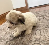 processed/556b636b-2bca-4f28-980e-a9715f21c14d/listing/5a7e2e75-b390-4a97-adba-46b4183b8696/58e6aede-ff63-4151-bac5-4bb866a5a3fc