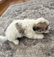 processed/556b636b-2bca-4f28-980e-a9715f21c14d/listing/5a7e2e75-b390-4a97-adba-46b4183b8696/b359dd7f-1da6-4ed8-99ec-eb715d06f681