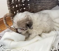 processed/556b636b-2bca-4f28-980e-a9715f21c14d/listing/5a7e2e75-b390-4a97-adba-46b4183b8696/cc7d02fc-af2a-45bb-878b-6bafa1a861c4