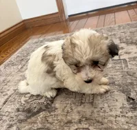 processed/556b636b-2bca-4f28-980e-a9715f21c14d/listing/5a7e2e75-b390-4a97-adba-46b4183b8696/f2627be2-90dd-4246-bb80-6d42b5f27f40