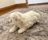 processed/556b636b-2bca-4f28-980e-a9715f21c14d/listing/7185c739-d8c9-447c-bbbb-59c8b4c6e29c/0d5cda14-af70-4ab2-a6cc-f814cb08d923