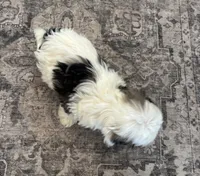 processed/556b636b-2bca-4f28-980e-a9715f21c14d/listing/88fe1dda-cd50-4dcc-82dd-ab42bbac91fd/e66c4d32-bb84-477f-847d-f93776c0b7aa