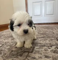 processed/556b636b-2bca-4f28-980e-a9715f21c14d/listing/88fe1dda-cd50-4dcc-82dd-ab42bbac91fd/eb780e42-8004-42bf-a8d7-4a6c89d65fc8