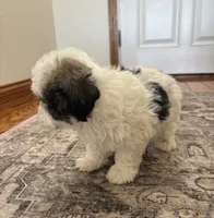 processed/556b636b-2bca-4f28-980e-a9715f21c14d/listing/88fe1dda-cd50-4dcc-82dd-ab42bbac91fd/f3435b50-e743-40b6-836f-2ca9dda533ac