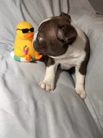 processed/556e972b-db4e-4e60-a6a5-cd76d1b32419/listing/0e26ba90-3b72-42f6-8b7d-91598315e53f/10d3ccd9-6a3a-4ac1-8c5b-e4443d2459cc