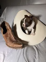 processed/556e972b-db4e-4e60-a6a5-cd76d1b32419/listing/0e26ba90-3b72-42f6-8b7d-91598315e53f/d3e72a95-3e06-4e78-bb60-69f94dc5504d