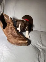 processed/556e972b-db4e-4e60-a6a5-cd76d1b32419/listing/0e26ba90-3b72-42f6-8b7d-91598315e53f/dfef0b8e-03bf-487e-912c-34d5e8d6acc2