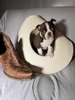 processed/556e972b-db4e-4e60-a6a5-cd76d1b32419/listing/0e26ba90-3b72-42f6-8b7d-91598315e53f/eee52d4d-d9b6-4a9f-922b-5e953bfe77a5