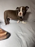 processed/556e972b-db4e-4e60-a6a5-cd76d1b32419/listing/0e26ba90-3b72-42f6-8b7d-91598315e53f/f8e5fa4b-d903-44e7-ba6d-53a64d859472