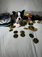 processed/556e972b-db4e-4e60-a6a5-cd76d1b32419/listing/69743cb8-177c-41c3-bcba-59d128779b5f/514cefcb-042b-4b97-8b67-e0d83dc8dd80