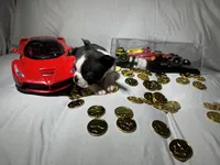 processed/556e972b-db4e-4e60-a6a5-cd76d1b32419/listing/69743cb8-177c-41c3-bcba-59d128779b5f/5ac9c651-2d8a-4ed8-bbd2-d4b52dd8af08