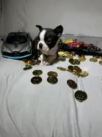 processed/556e972b-db4e-4e60-a6a5-cd76d1b32419/listing/69743cb8-177c-41c3-bcba-59d128779b5f/b0c5465f-cfa9-46db-b963-97b2ce7d138a