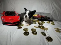 processed/556e972b-db4e-4e60-a6a5-cd76d1b32419/listing/69743cb8-177c-41c3-bcba-59d128779b5f/b364dfca-428c-42a5-8aae-5fcd377c52d1