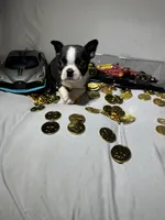 processed/556e972b-db4e-4e60-a6a5-cd76d1b32419/listing/69743cb8-177c-41c3-bcba-59d128779b5f/b98e6390-89df-41a5-bc96-53a6ab210ab3