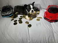 processed/556e972b-db4e-4e60-a6a5-cd76d1b32419/listing/69743cb8-177c-41c3-bcba-59d128779b5f/fcf1d847-a502-49ca-9a87-a68e49823c61