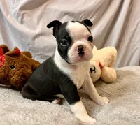 processed/556e972b-db4e-4e60-a6a5-cd76d1b32419/listing/95e3726c-6b6a-4d45-8614-4fba5c312e47/12dfb9f3-7cee-41d1-aea8-f6dddb654d09