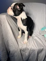 processed/556e972b-db4e-4e60-a6a5-cd76d1b32419/listing/95e3726c-6b6a-4d45-8614-4fba5c312e47/132d6e23-bff1-4c61-b2e9-228d354aeb45