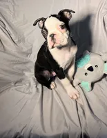 processed/556e972b-db4e-4e60-a6a5-cd76d1b32419/listing/95e3726c-6b6a-4d45-8614-4fba5c312e47/430fad3b-5a2e-4f72-bc1e-9f415b2c2ffc