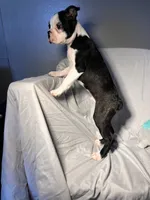 processed/556e972b-db4e-4e60-a6a5-cd76d1b32419/listing/95e3726c-6b6a-4d45-8614-4fba5c312e47/5f7a51f2-46e1-496c-8466-f6b4a2ce66df