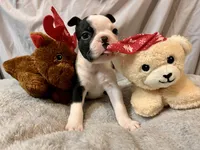 processed/556e972b-db4e-4e60-a6a5-cd76d1b32419/listing/95e3726c-6b6a-4d45-8614-4fba5c312e47/91d2c188-20e2-426a-b20a-4b3255802e7f