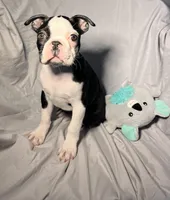 processed/556e972b-db4e-4e60-a6a5-cd76d1b32419/listing/95e3726c-6b6a-4d45-8614-4fba5c312e47/b208548f-c265-4bc4-a3f6-72272226aee0