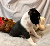 processed/556e972b-db4e-4e60-a6a5-cd76d1b32419/listing/95e3726c-6b6a-4d45-8614-4fba5c312e47/b35a309f-e9eb-42c5-ba51-afc7f6d4034e