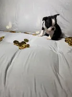 processed/556e972b-db4e-4e60-a6a5-cd76d1b32419/listing/b40e019b-4f56-49c0-a738-3ec1619eb2e5/28022ef6-3587-4ae1-b002-95053cbb6cec