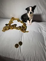 processed/556e972b-db4e-4e60-a6a5-cd76d1b32419/listing/b40e019b-4f56-49c0-a738-3ec1619eb2e5/4d31183f-f32a-41bc-8315-6570715ecea3